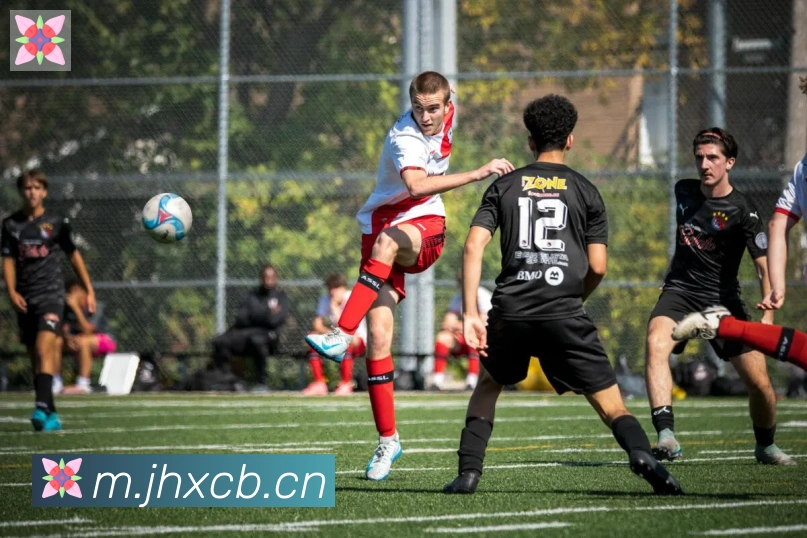 华体网页版页面登录荣誉