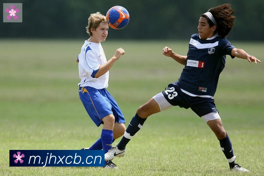 华体网页版页面登录荣誉