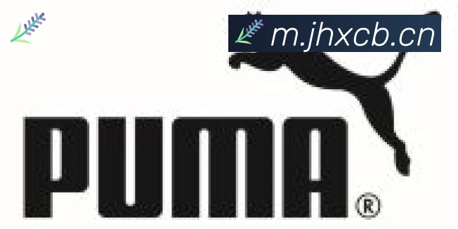 华体网页版页面登录合作伙伴